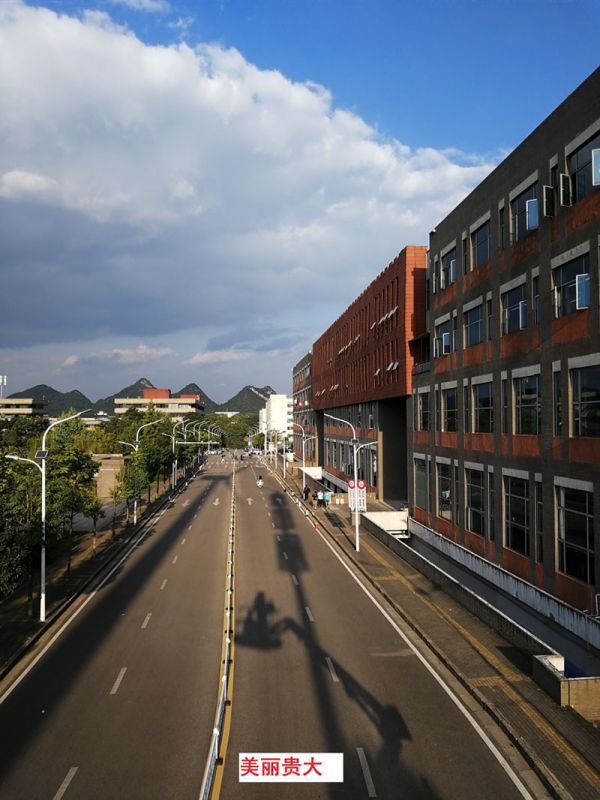 貴州某高校為本校區(qū)內(nèi)600多盞路燈更換LED燈頭及加裝太陽(yáng)能LORA調(diào)光控制模塊，達(dá)到了節(jié)能和智能控制的目的。